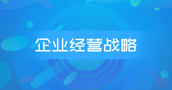 企业经营战略概论